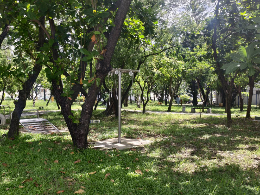 完成清理行道樹公園傾倒樹木  恢復市容