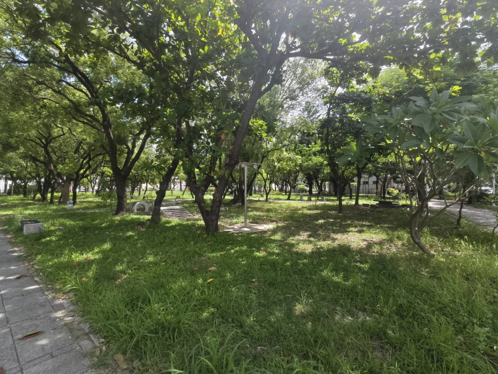 完成清理行道樹公園傾倒樹木  恢復市容