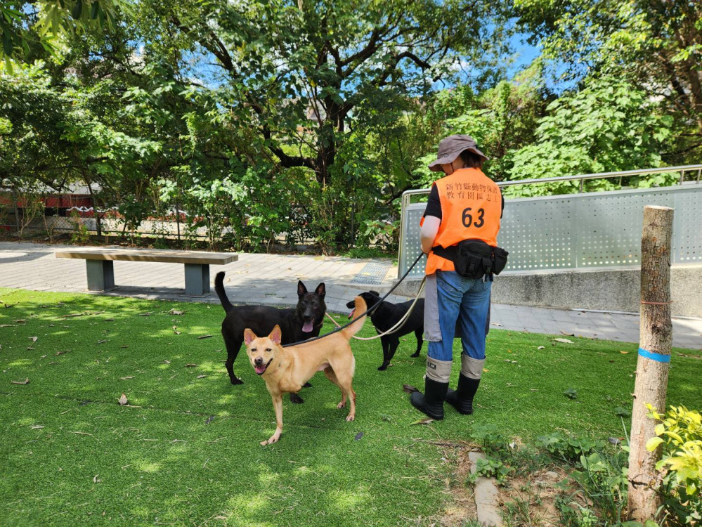 竹縣新埔犬隻飼養不當致死案　扣押犬隻9/1全數沒入安置動保所