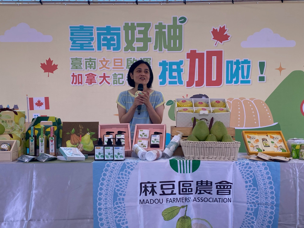 臺南麻豆文旦遠航加國 產地直送海外迎秋節到來