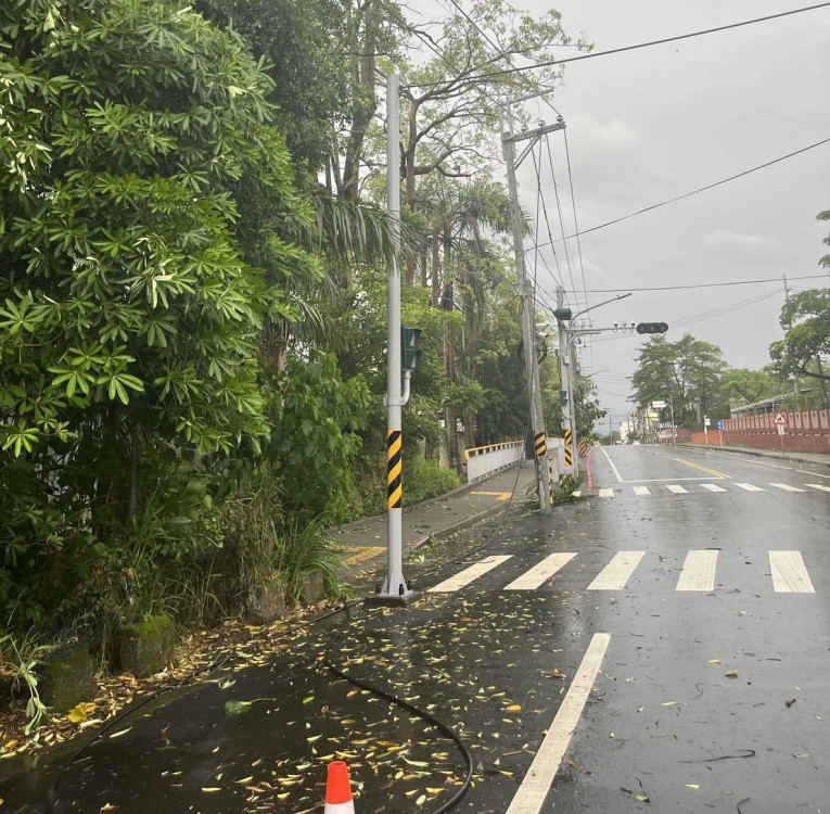 楊柳造成臺南多起停電事故  台電：積極搶修