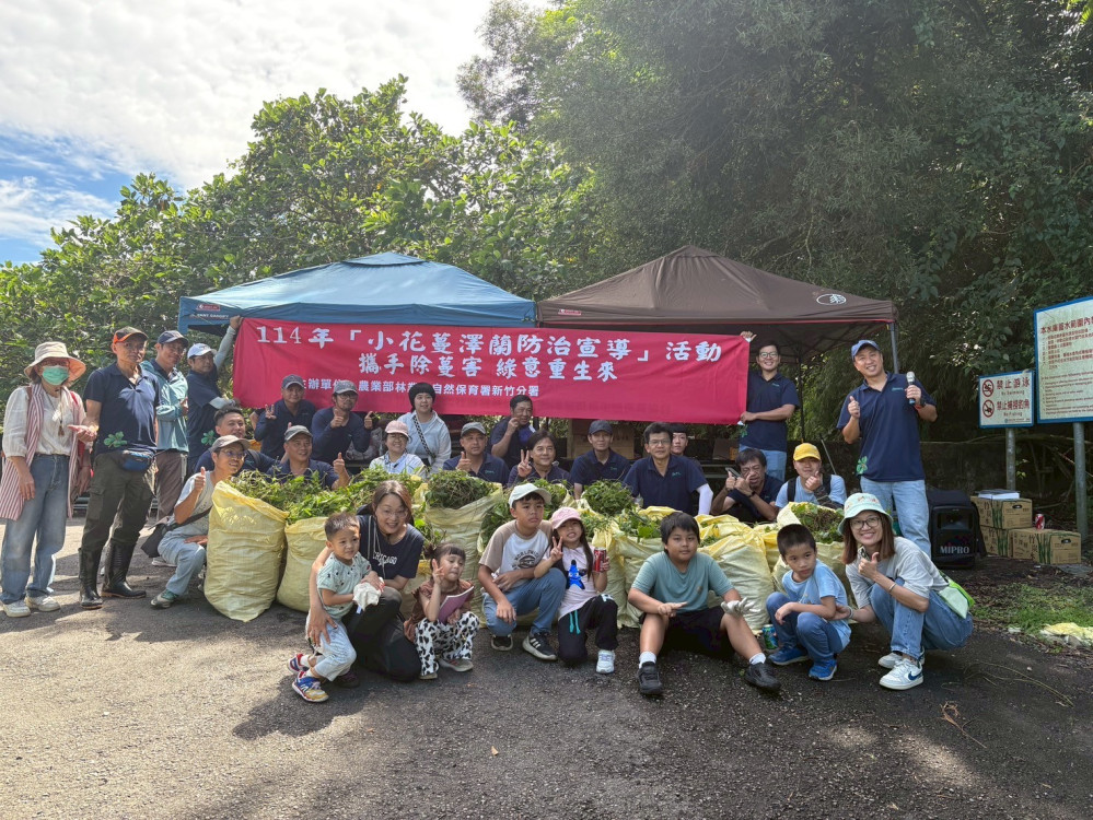 公私攜手防除生態殺手「小花蔓澤蘭」　守護鯉魚潭後池堰生態環境