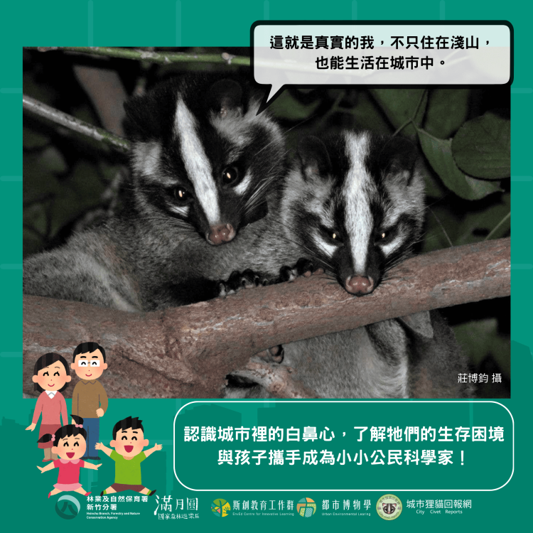 走進白鼻心世界　滿月圓「城市狸貓保衛戰」親子環境體驗課程開課