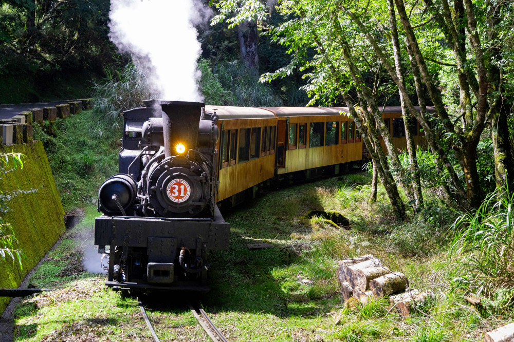 阿里山森林鐵道蒸汽專列檜木列車10/16限定啟程