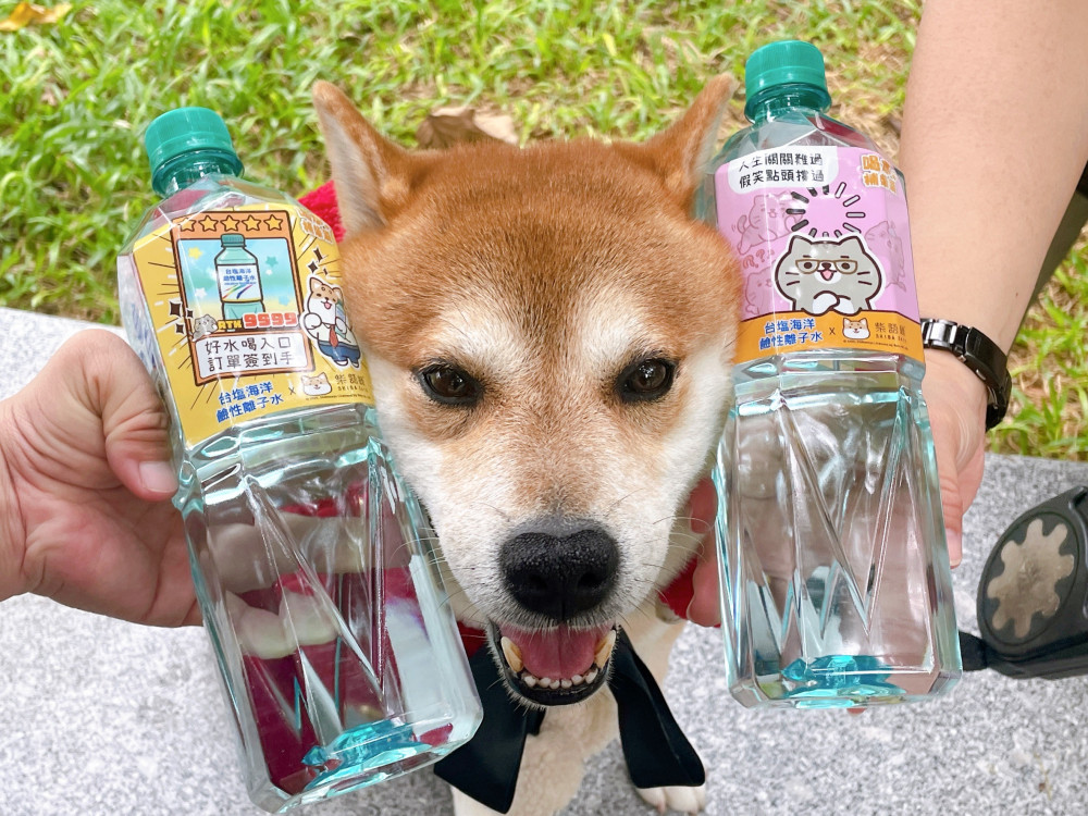 喝水補「柴」氣！台塩海洋鹼性離子水×柴語錄超萌開賣