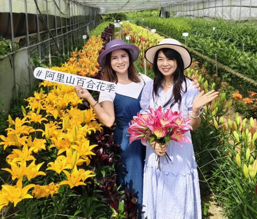 最浪漫阿里山百合花季展至10/31 荷蘭56新品種爭奇鬥艷