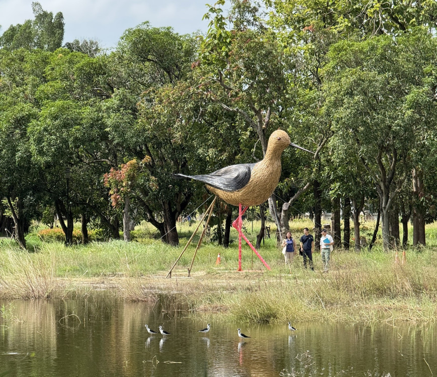 高蹺鴴驚現官田大隆田—竹藝地景《躼跤紅跤痕》生態美景祕境