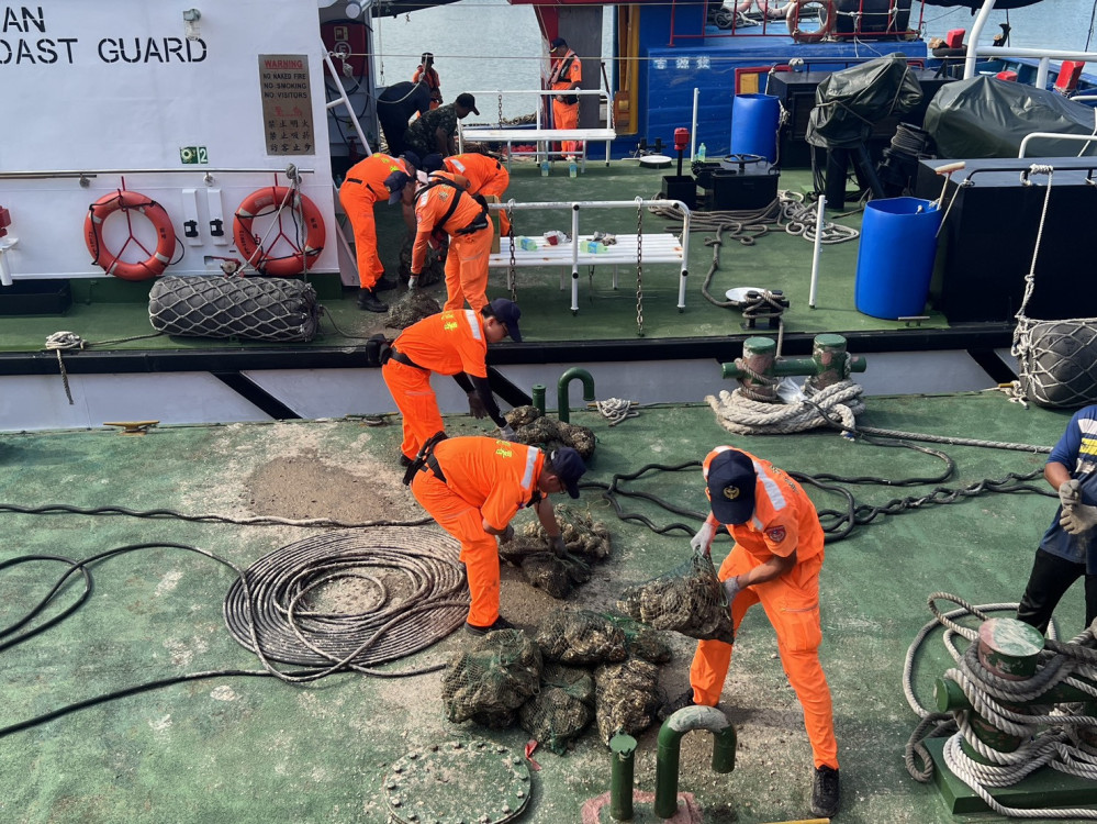 海巡嚴查不肖業者走私牡蠣逾5公噸