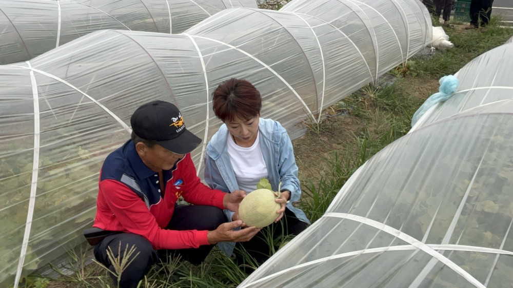 市民永遠是最重要的 鳳凰颱風來襲 陳亭妃固守台南，由辦公室主任代為完成市長初選登記