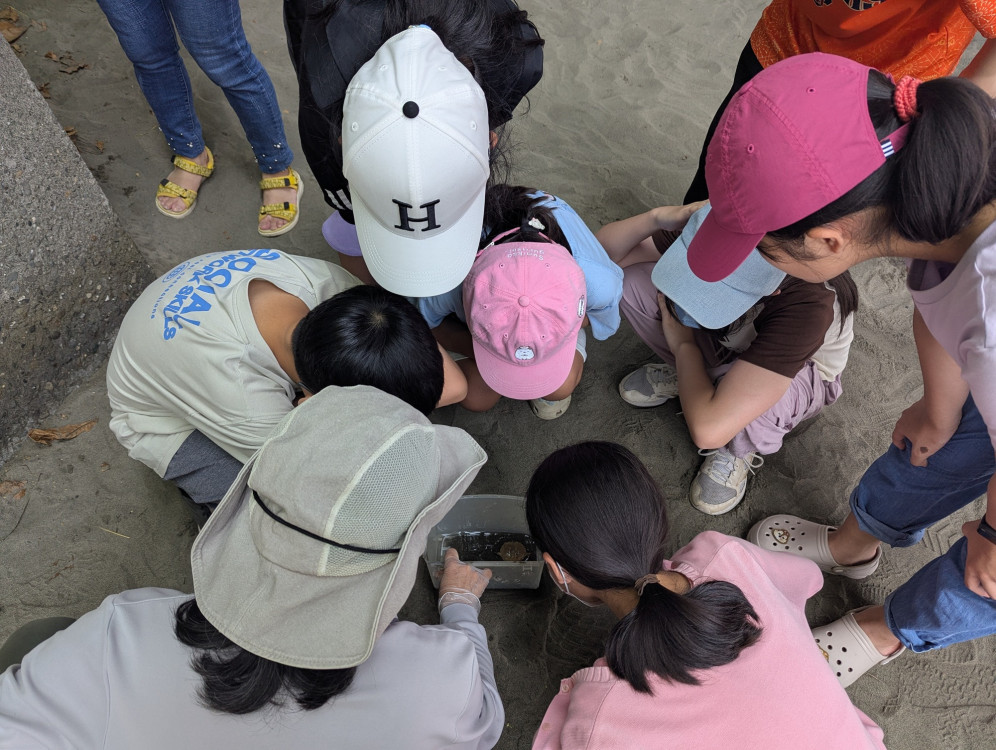 「台江好潮」，一起探索台江潮間帶！