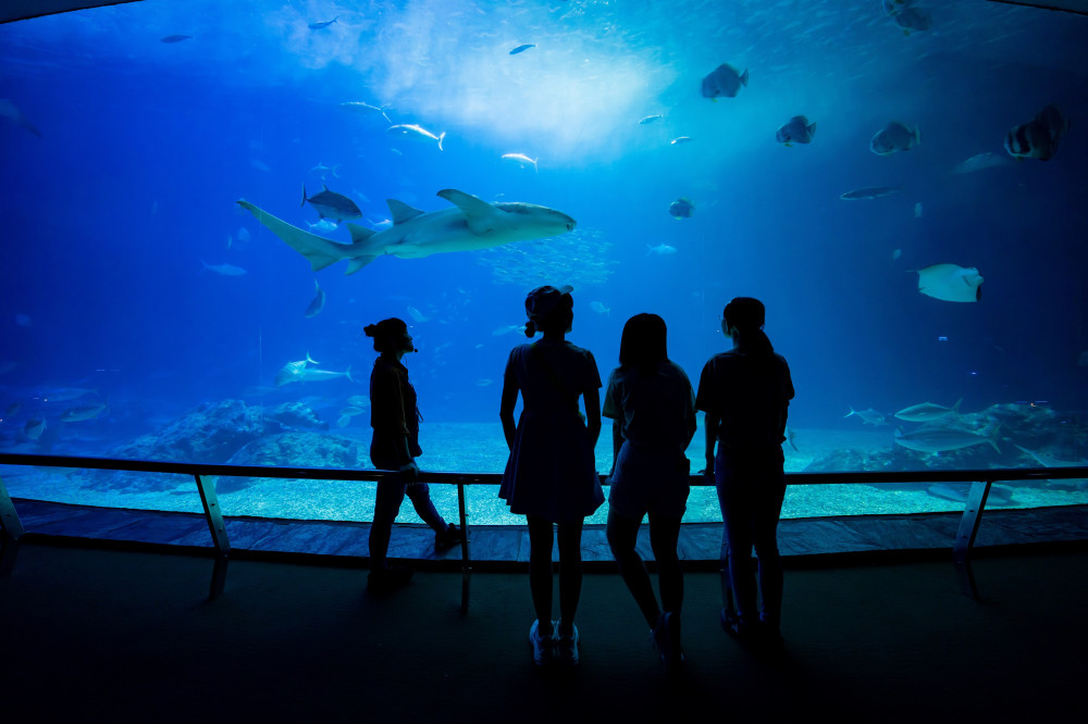 屏東海生館BOT榮獲教育部海洋教育推手獎 打造全民海洋學習場域