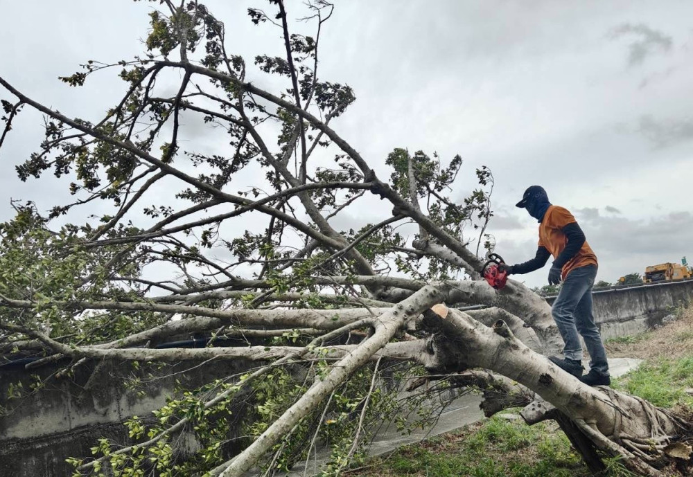 鳳凰颱風來勢洶洶　竹市應變中心開設二級並提醒市民做好防災整備