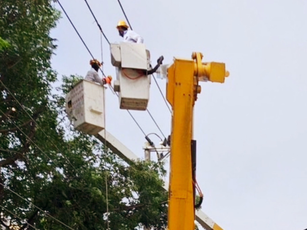 超前部署、全力防颱　台電新竹區處預防性修剪樹竹戒備因應鳳凰來襲