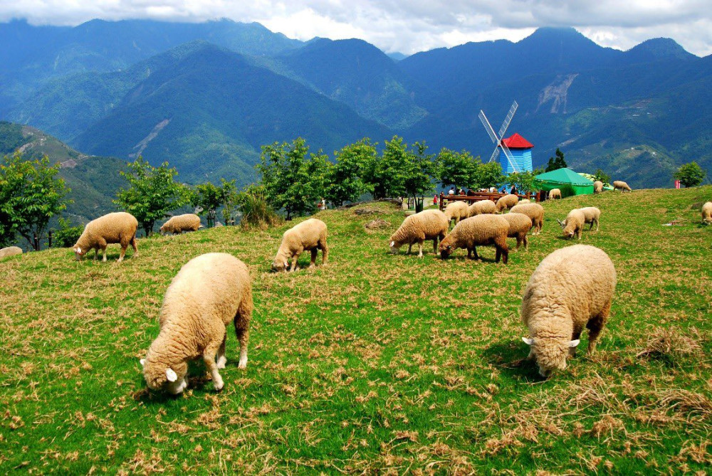 解鎖4D星空饗宴 雙子座流星雨X零光害星空