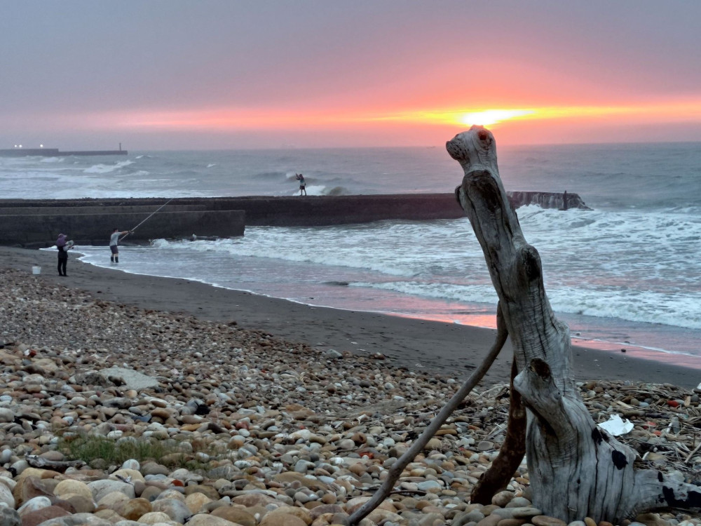 持續推動地方創生　竹縣青農與海岸文化共築永續新風景