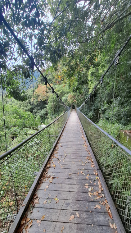 玉山瓦拉米步道字跡尋寶 感受八通關人文歷史
