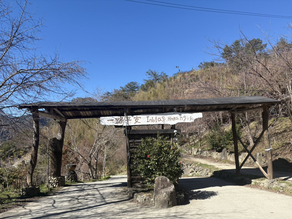 司馬庫斯櫻花季實施交通總量管制　自1月19日起開放申請通行證