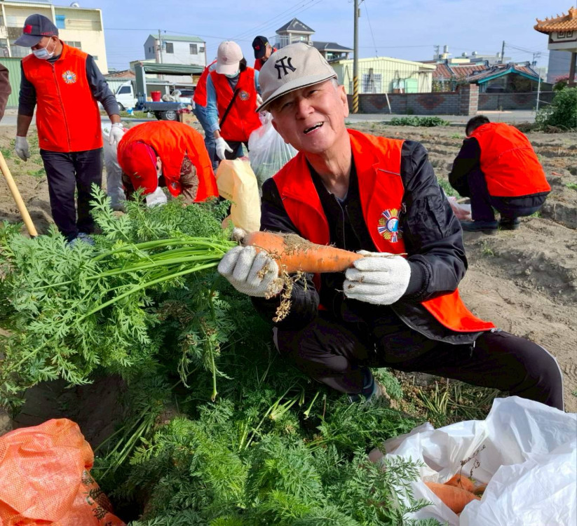 嘿喲嘿喲拔蘿蔔！樂齡長輩歡笑滿園享冬陽  