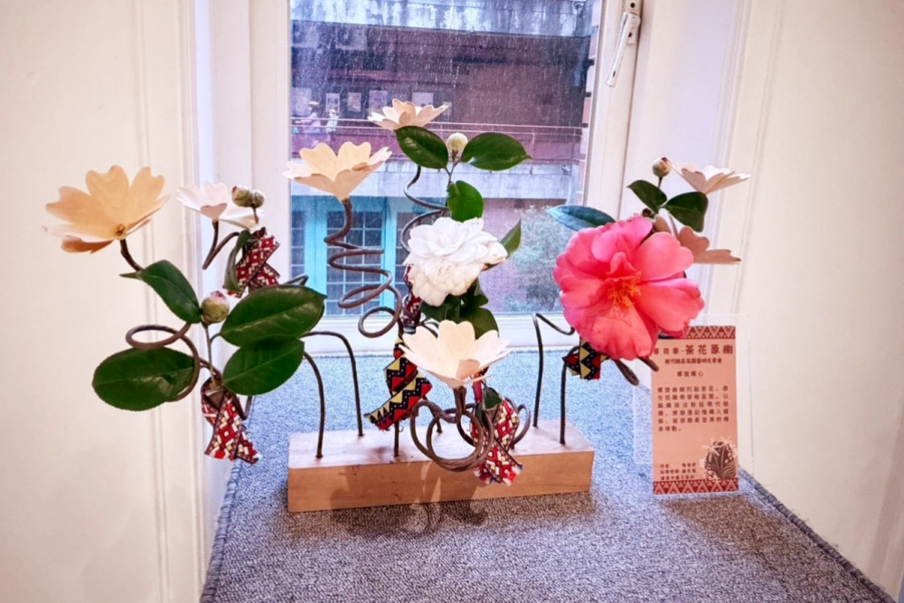 賞茶花、迎新春　竹縣115年茶花節「茶花原樹」1/17-18日原味登場