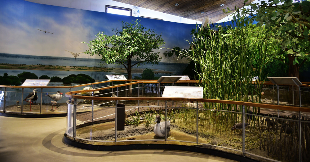 台江國家公園遊客中心常設展推AI語音導覽服務