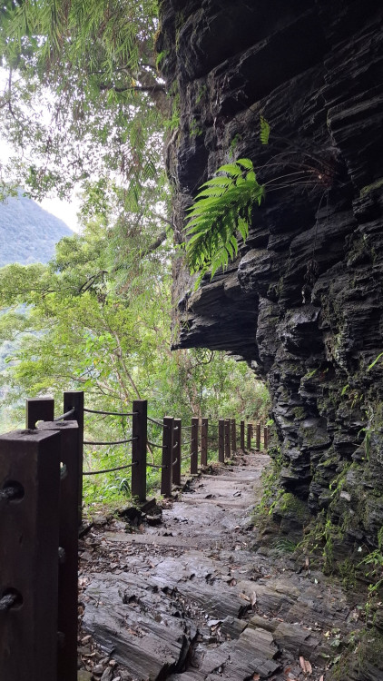 玉山瓦拉米步道字跡尋寶 感受八通關人文歷史