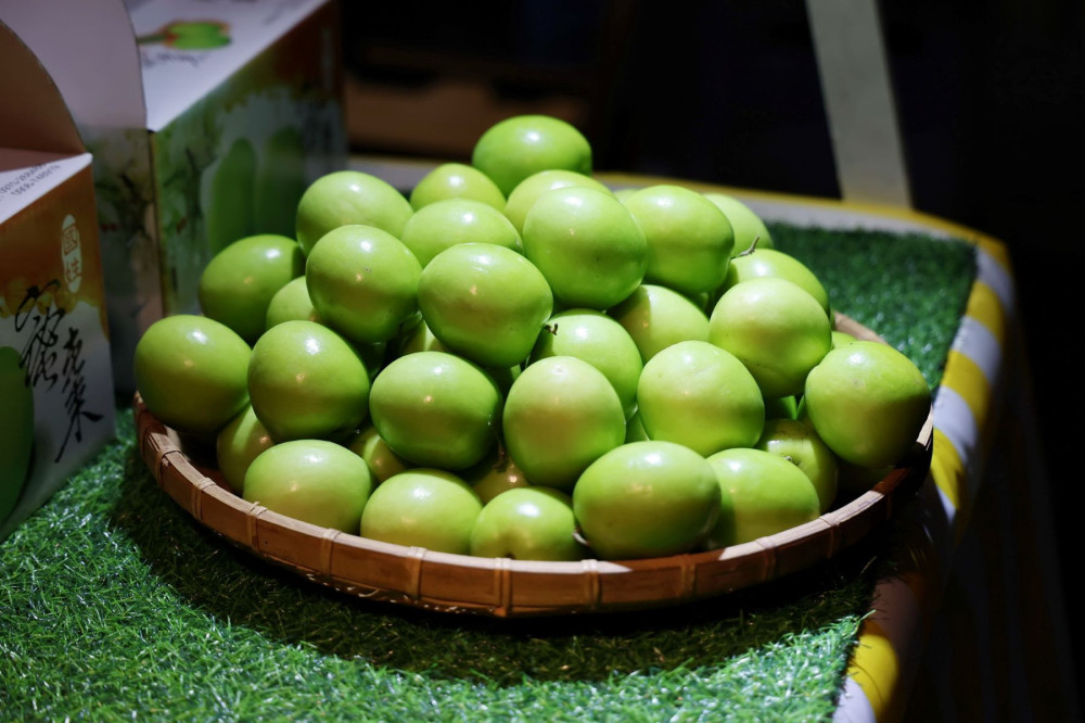 南投國姓咖啡節登場  1月24、25日邀您共襄盛舉