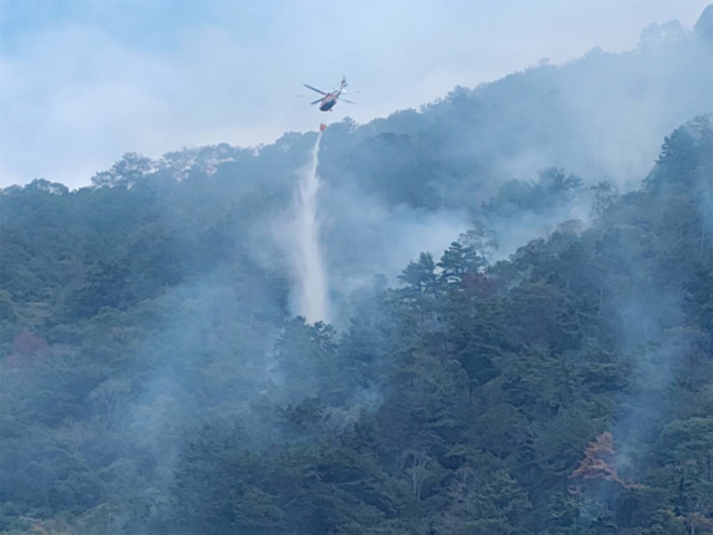 埔里森林大火強風復燃 延燒40公頃林地