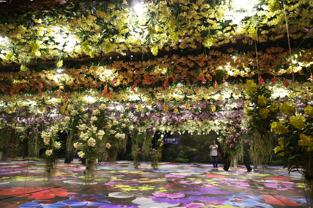 AI科技與花藝共舞！台灣國際蘭展暨花卉科技展雙展齊發 裸視3D沉浸體驗搶先看