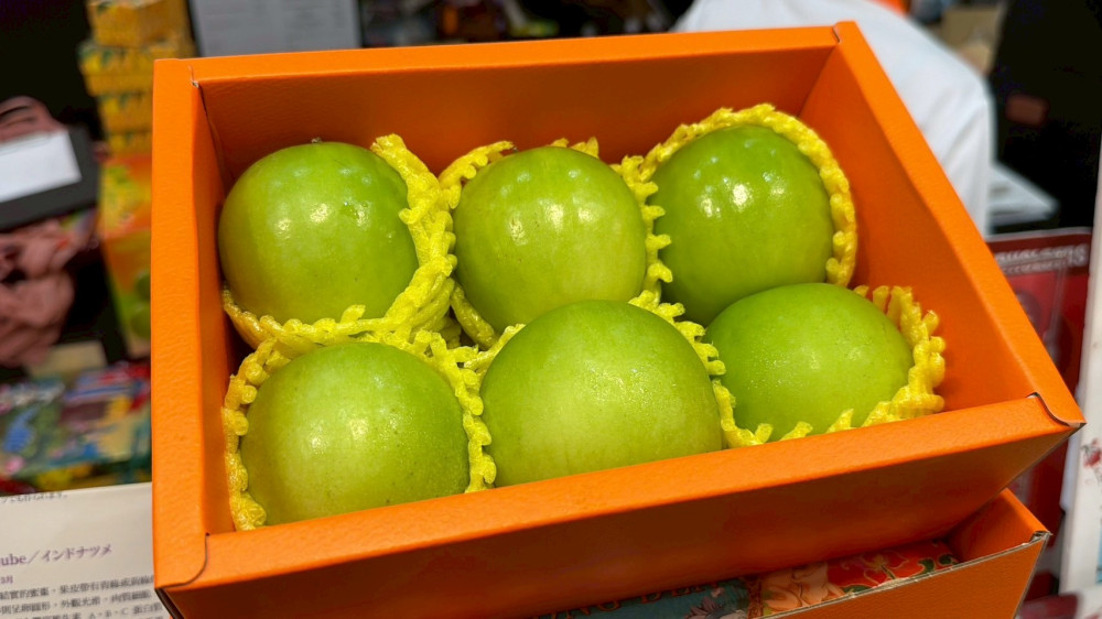 台南市長 黃偉哲親赴新加坡推廣 台南蜜棗每日開市即被搶購一空