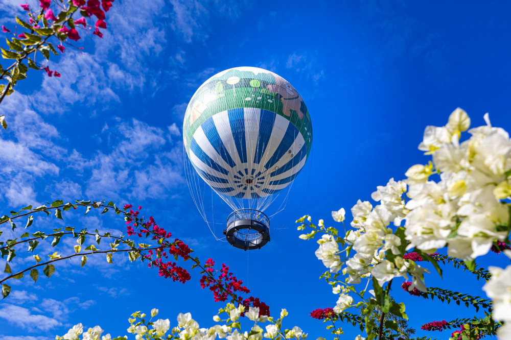 過年南投很熱鬧！ 九九峰氦氣球12日開放全民預約