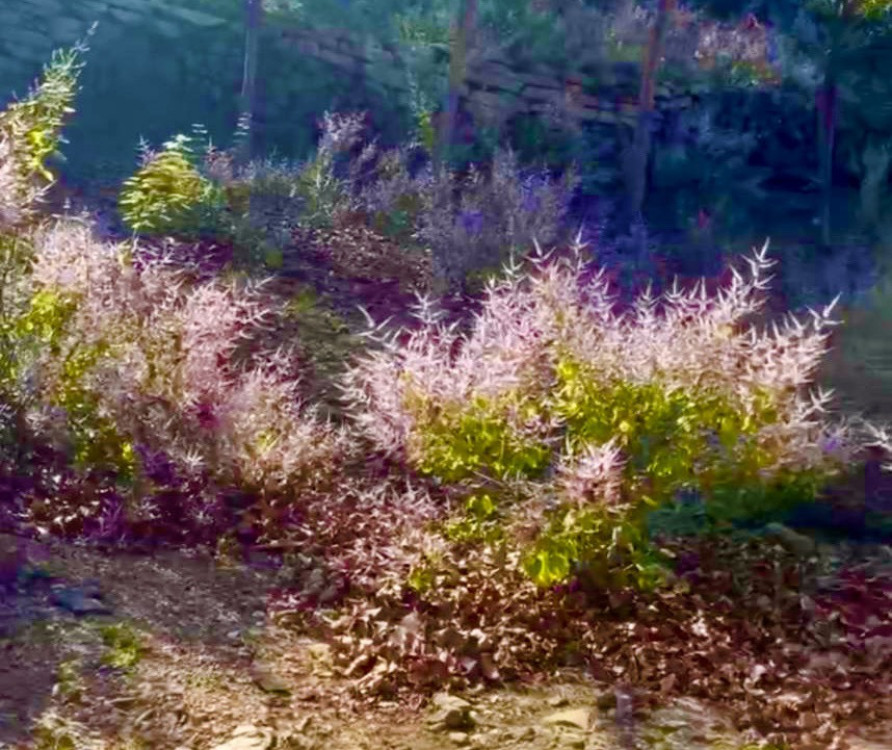 漫步台南山系桃花源！烏山步道健行賞花正當時 感受厚德紫竹寺心靈洗禮