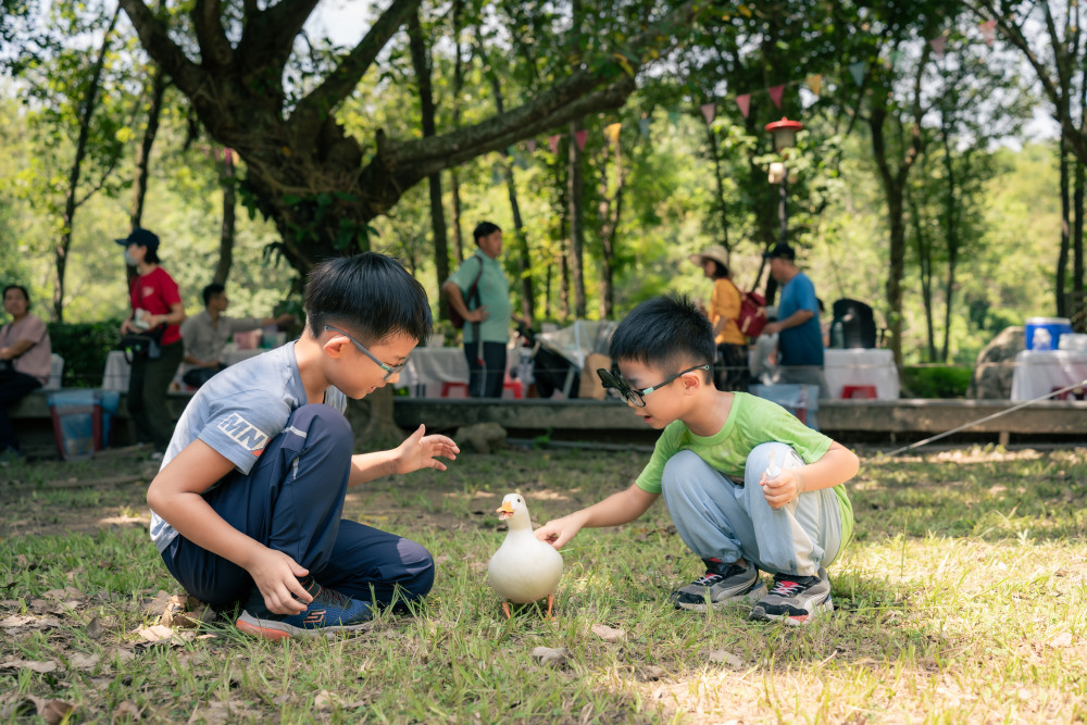 馬年迎春！柳營尖山埤渡假村寵物主人免門票 春節活動超精彩