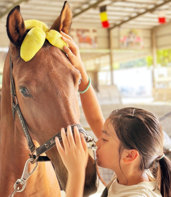 馬躍迎好運、走春限定趣　竹北遠百邀大小朋友與帥氣小馬共舞同樂