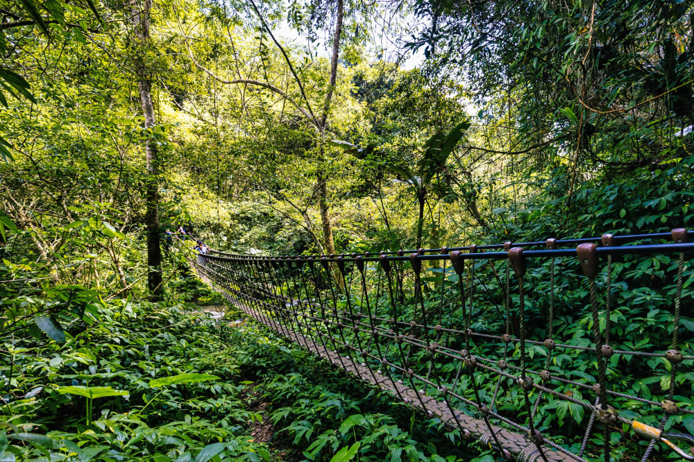 馬道迎新春、健行迎好運　竹縣精選3條「馬」字步道邀民眾享受芬多精