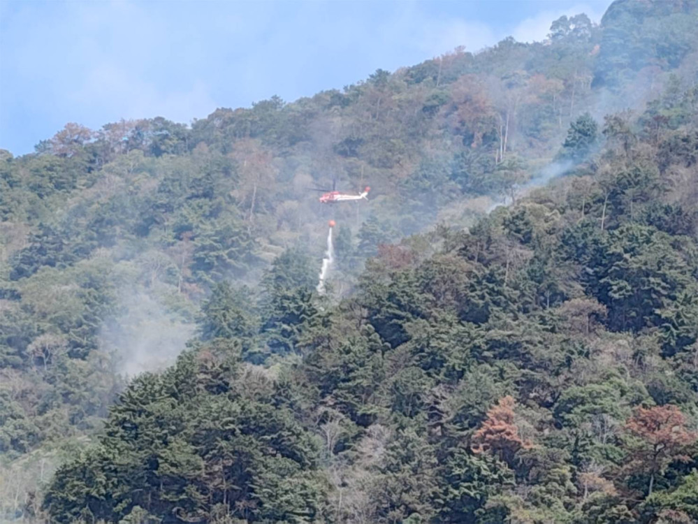 埔里森林大火強風復燃 延燒40公頃林地