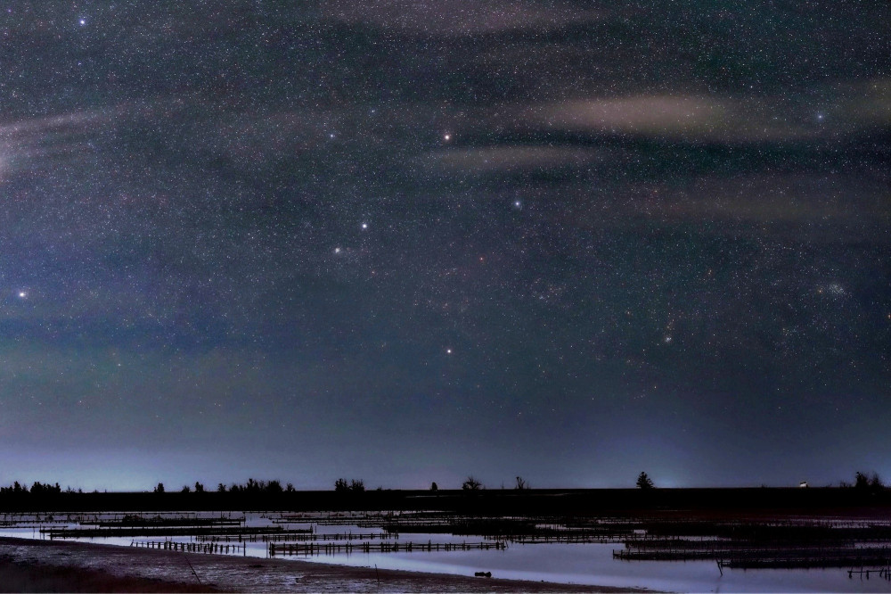 台江國家公園推黃昏賞黑琵夜觀星空 3/14 登場開放報名