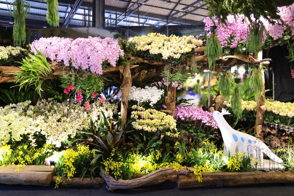 實體蘭花挑大樑！台南蘭展主題館「綻放館」揭秘 莫內噴蘭與鋼鐵蘭心驚艷全場