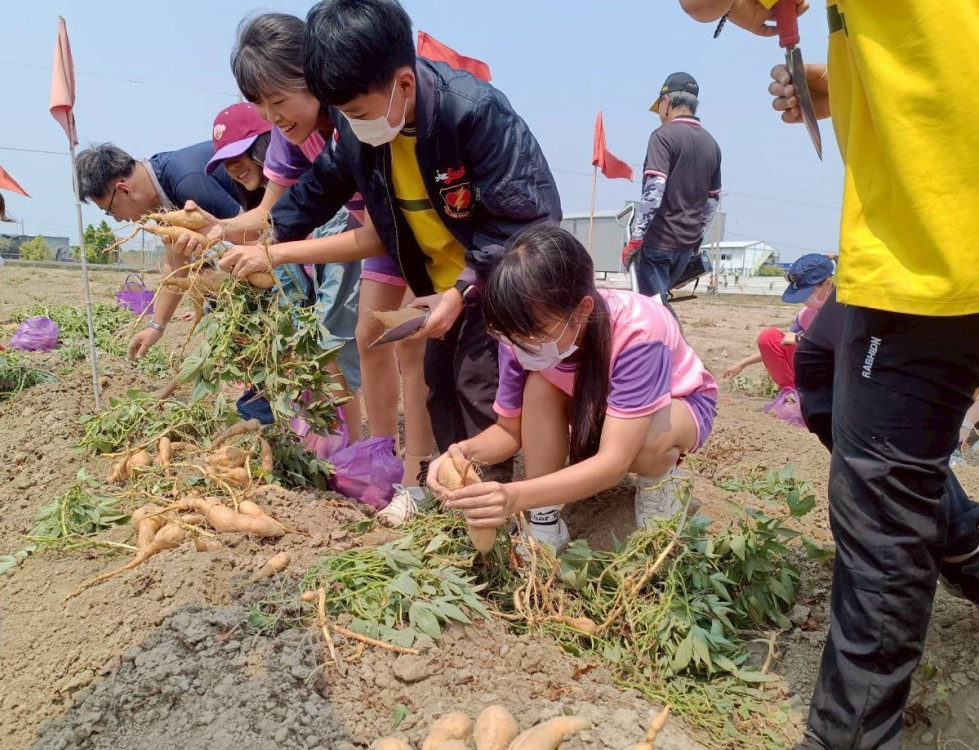 臺南永康國小體驗食農一鏟一笑節氣美味 從產地到餐桌認識地瓜 