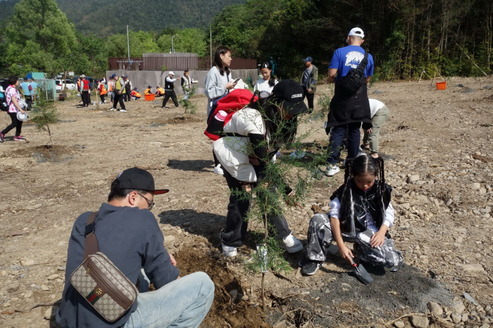 迎臺灣爺蟬回家 中央地方齊種臺灣梭羅木