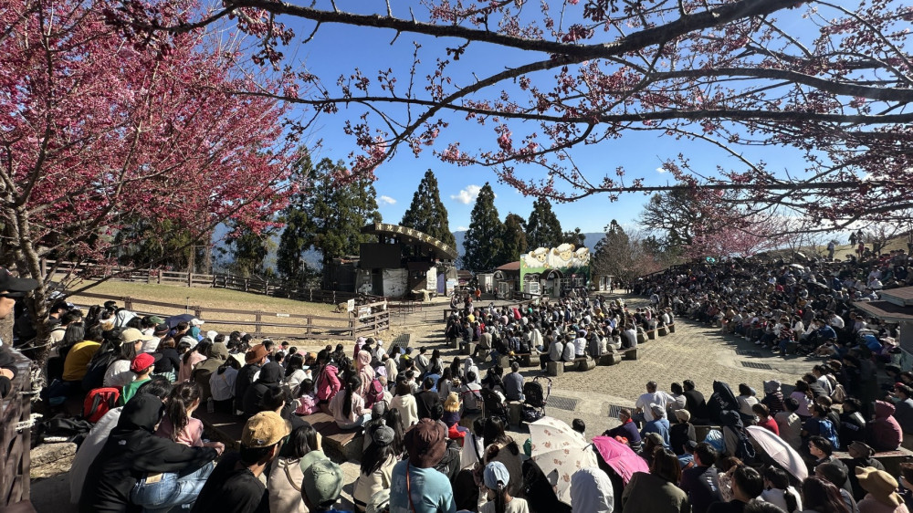 清境農場年迎68萬遊客 穩居高山首選
