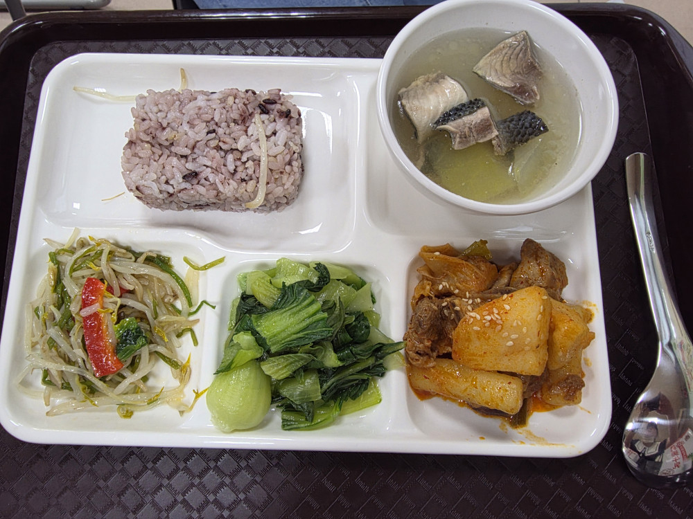 臺南國中小午餐 9 月起全面免費！市議會實地視察復興國小中央廚房運作