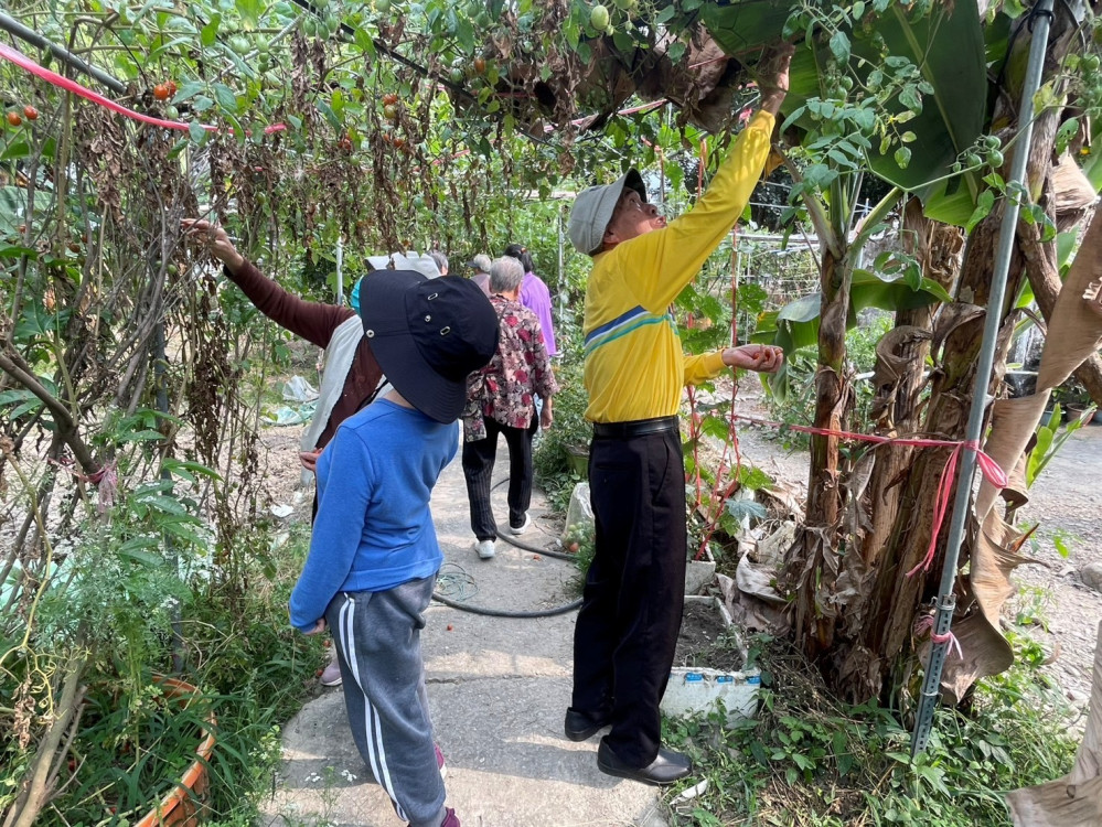 屏東榮家幸福春日黃風鈴木賞花宴