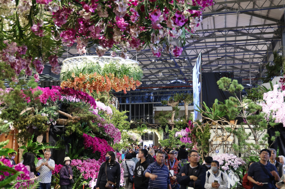 2026 國際蘭展碰撞鹽水蜂炮！台南雙棲遊程登場 買農產精品抽魚頭君周邊