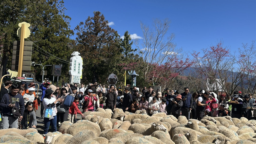 清境農場年迎68萬遊客 穩居高山首選