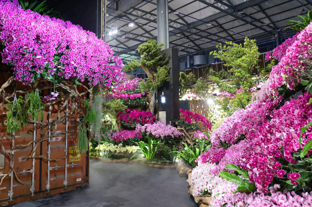 實體蘭花挑大樑！台南蘭展主題館「綻放館」揭秘 莫內噴蘭與鋼鐵蘭心驚艷全場