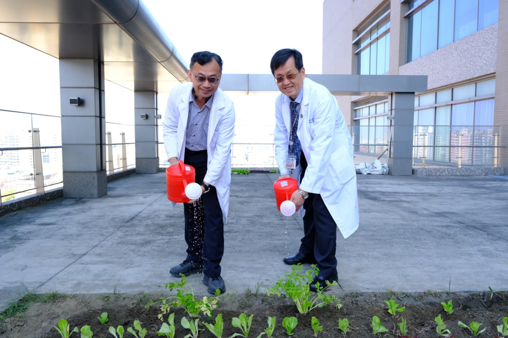 小港醫院「種福田」！廚餘變黃金肥料 綠色醫療超吸睛
