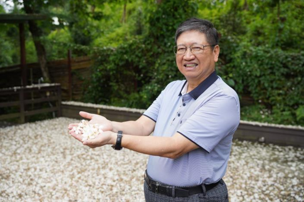 2026新竹縣桐花祭4月18日開跑　楊文科縣長邀大家一起浪漫桐聚！