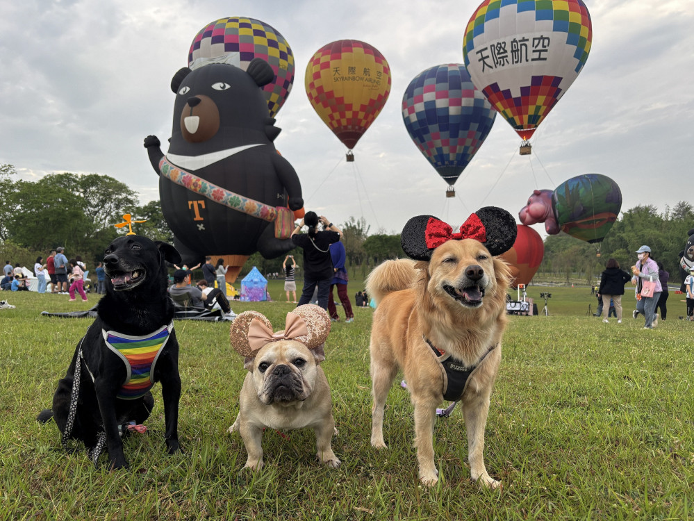 熱氣球嘉年華 4/25 登場！「2026 西拉雅森活節」官田遊客中心盛大啟動