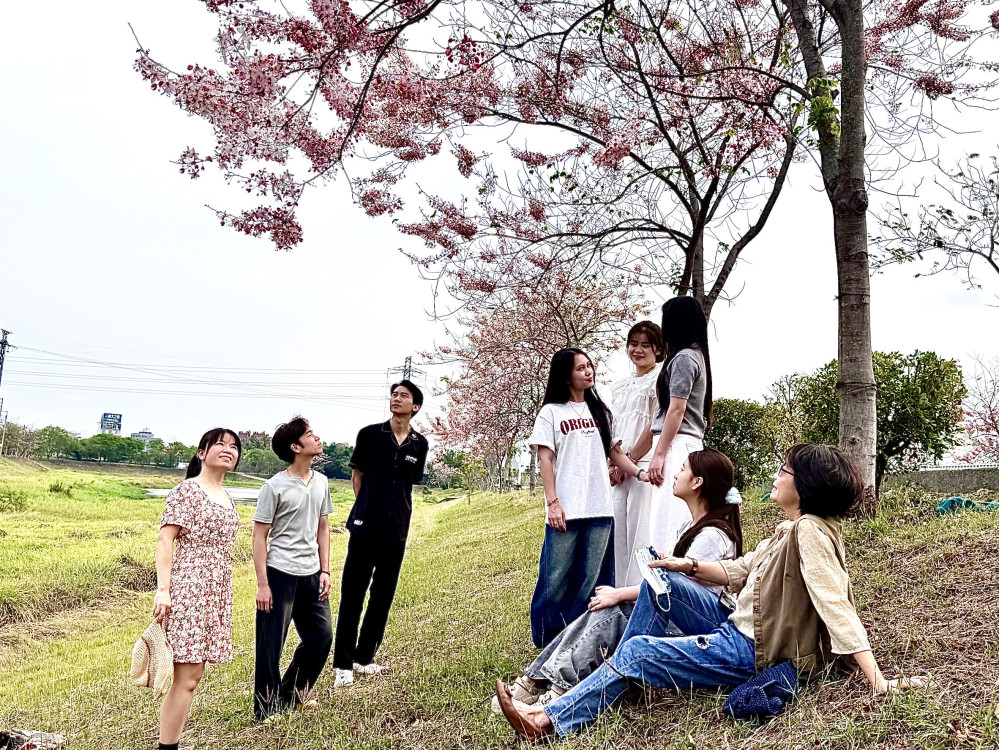 仁德滯洪池花旗木盛開 中華醫大師生分享最新花況