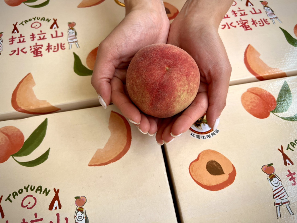 鮮甜首發！桃園拉拉山媽媽桃產季正式啟動　自4/13起預購開跑